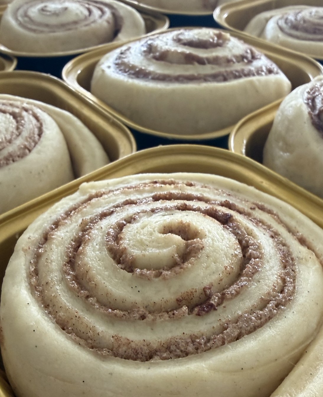 Cinnamon Rolls